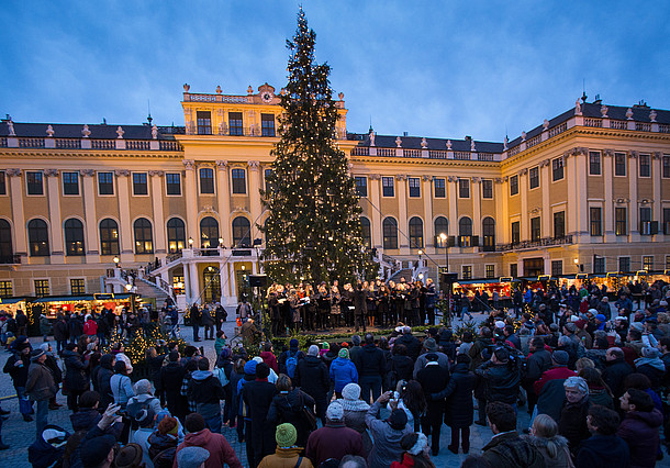 private transfers from vienna airport to schonbrunn christmas market by taxi, limousine, minivan, minibus and coach