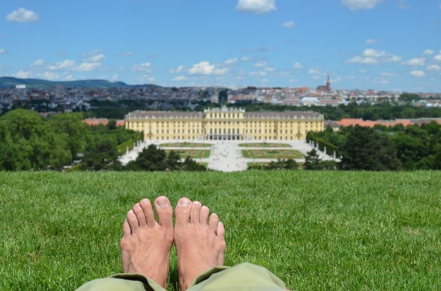 Things to Do in Vienna During the Summer 